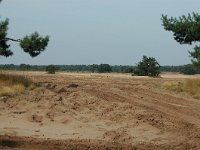 NL, Noord-Brabant, Oirschot, Oirschotse Heide 3, Saxifraga-Jaap Bouwman : stuizand2